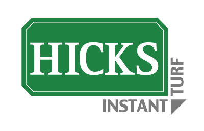Santa Anna Couch Turf Turf Varieties Hicks Instant Turf